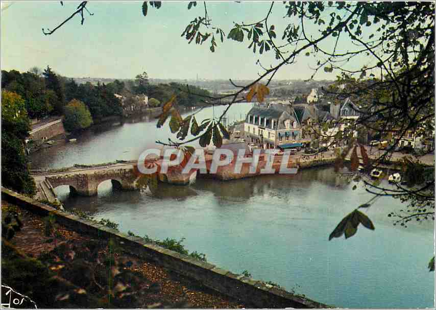CPM Auray Morbihan Paysage d'Automne sur Saint Goustan 