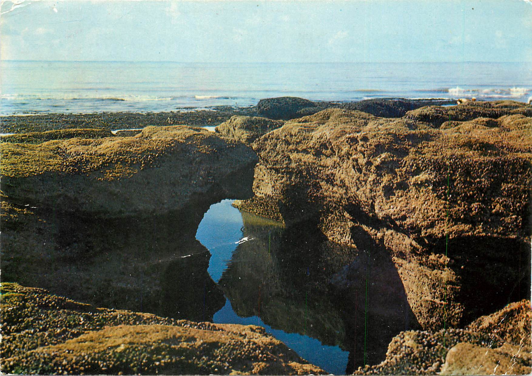 CPM Damgan Kervoyal Morbihan Le Pont Saint Sauveur 