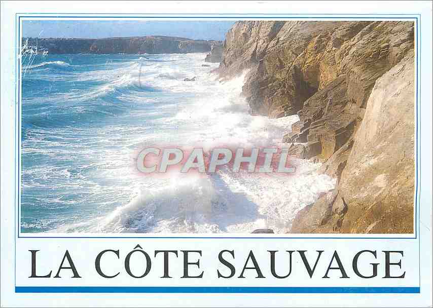 CPM La Cote Sauvage 