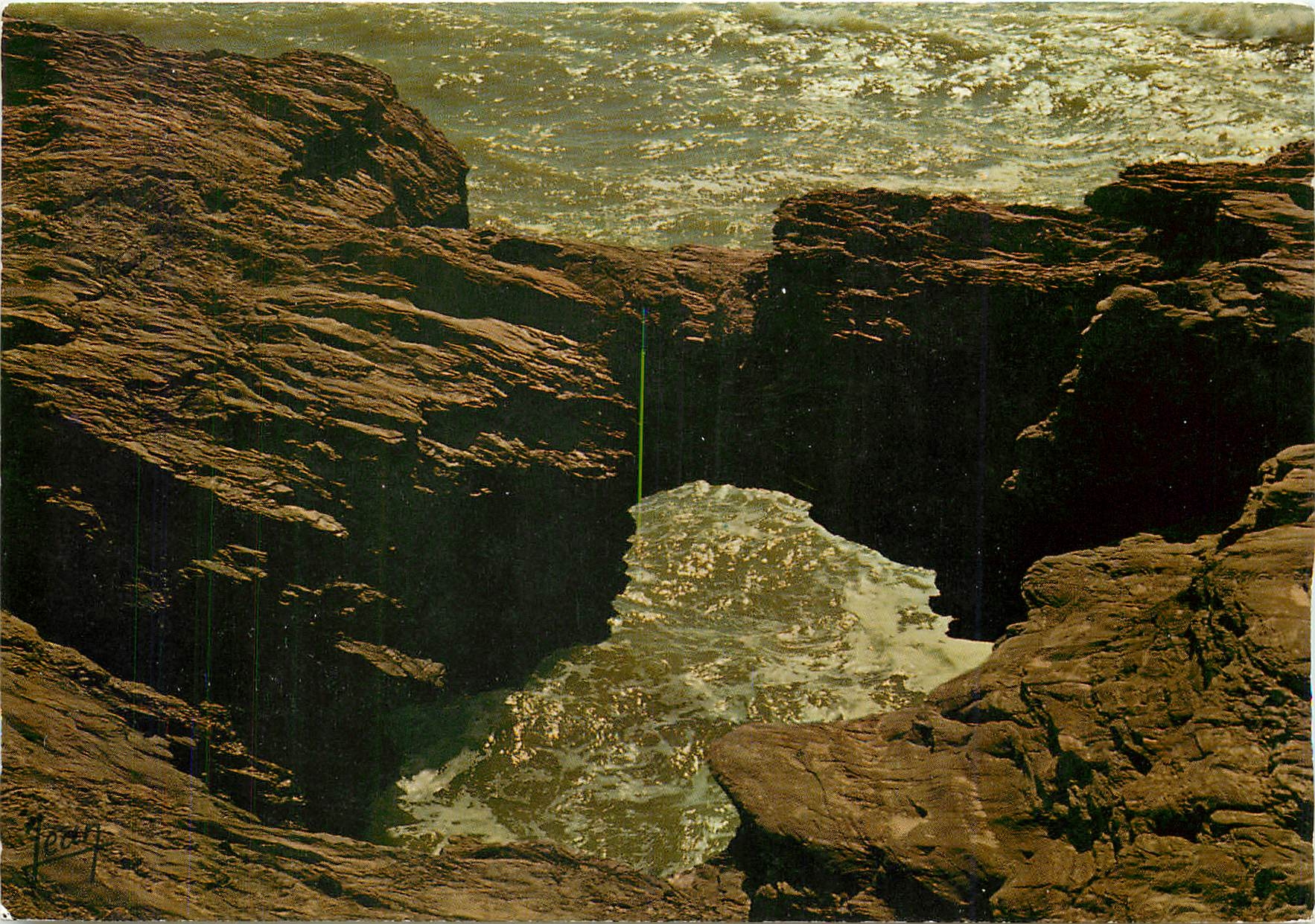 CPM La Cote Sauvage 