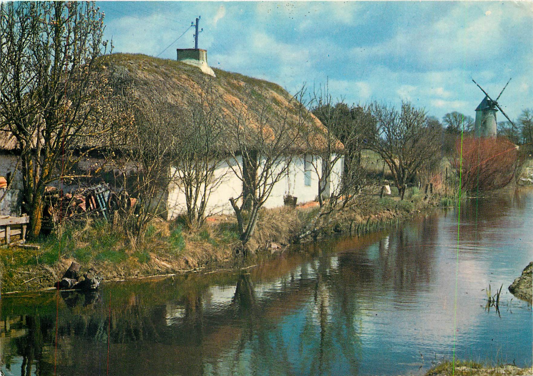 CPM La Vendee Pittoresque Bourrine et moulin dans le marais 
