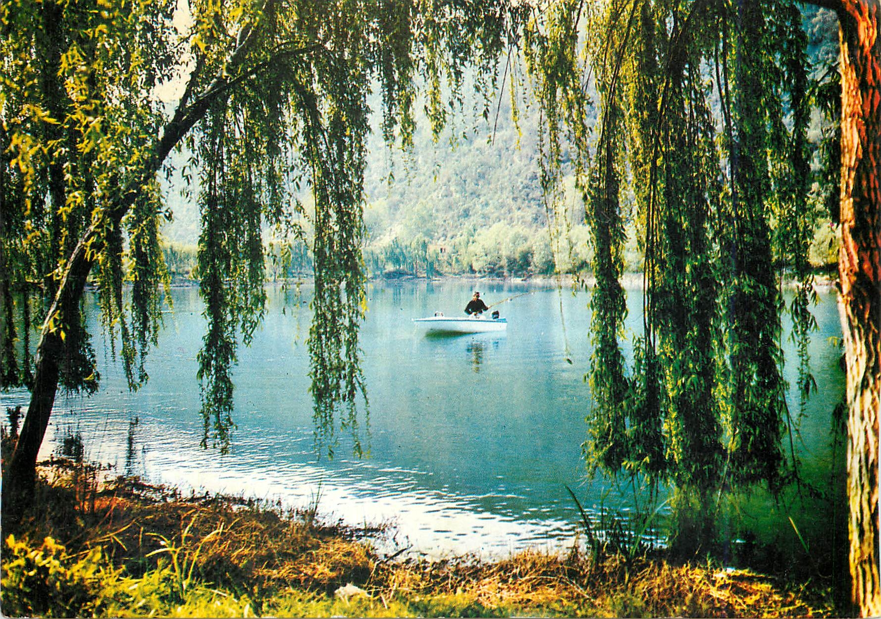 CPM Le Lac des Mimosas Peche Sportive Route de Mandelieu 