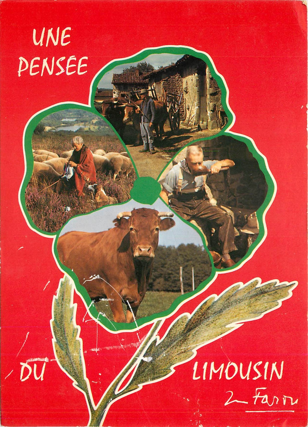 CPM Une Pensee du Limousin 