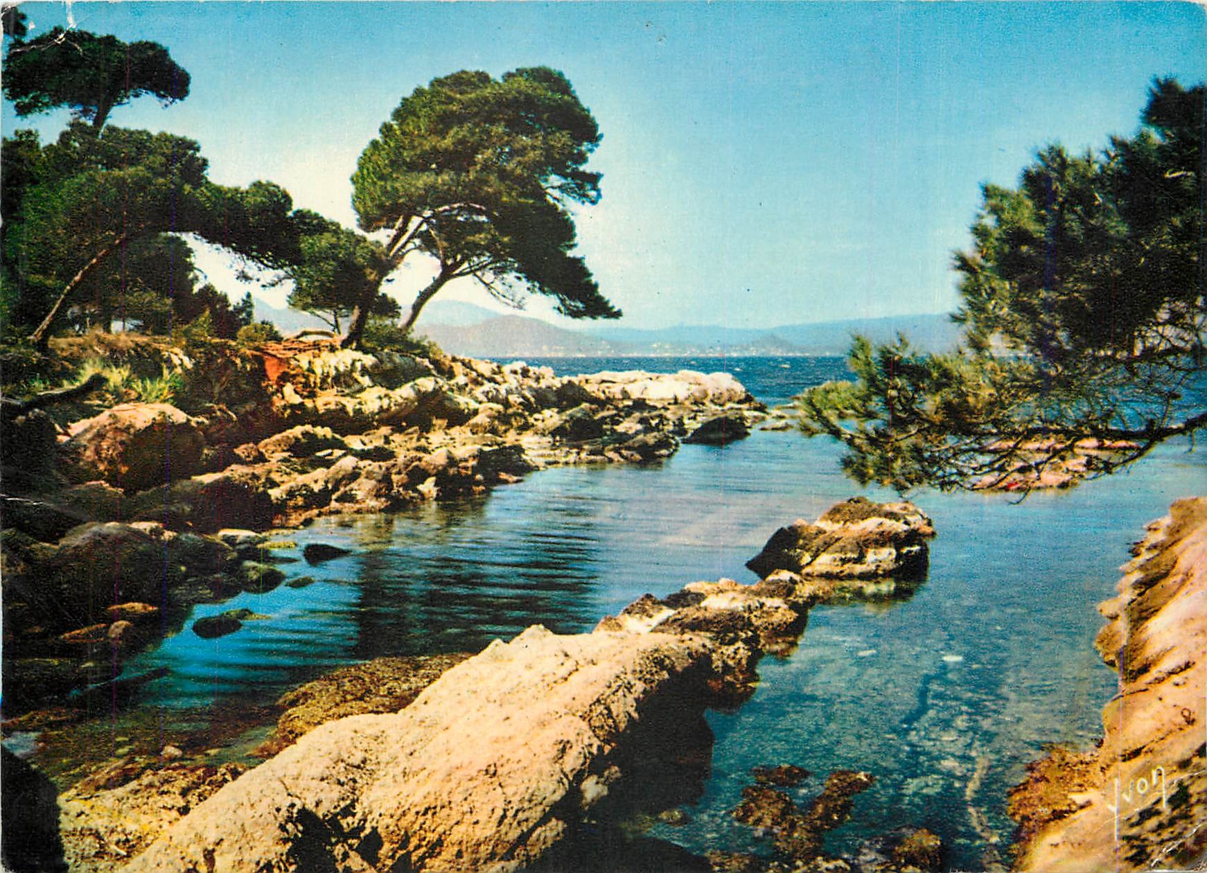 CPM La Cote d'Azur Miracle de la Nature Ile Saint Honorat AM Calanque des Boeufs 