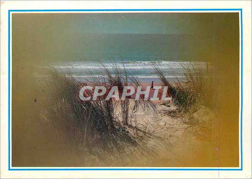 CPM PP Les dunes et l'Ocean 