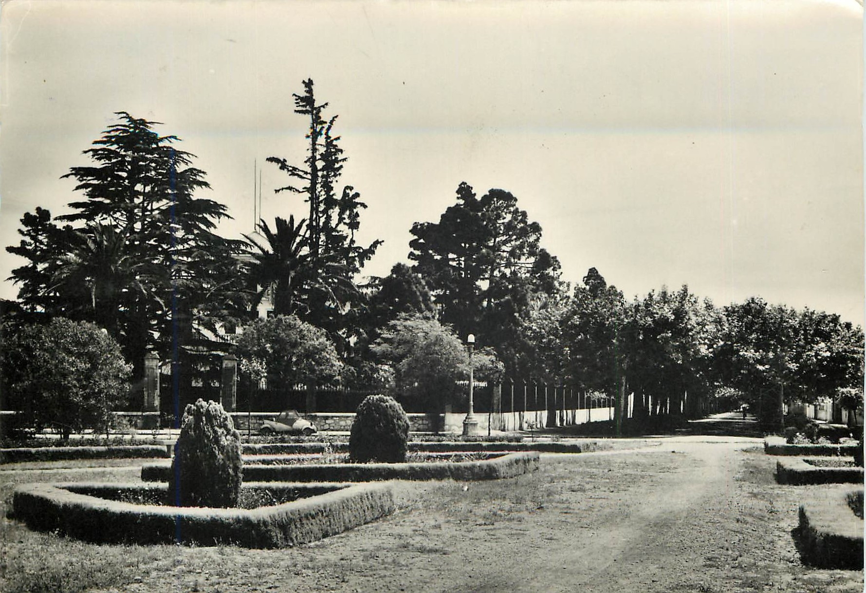 CPM Benicarlo Jardin Y Paseo Liberacion 