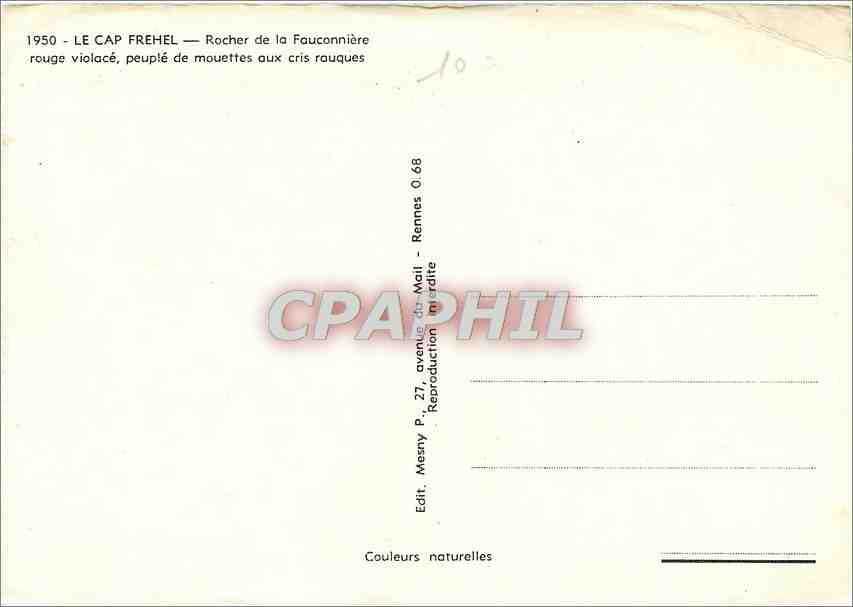 CPM Le Cap Frehel Rocher de la Fauconniere rouge violace  — Rückseite