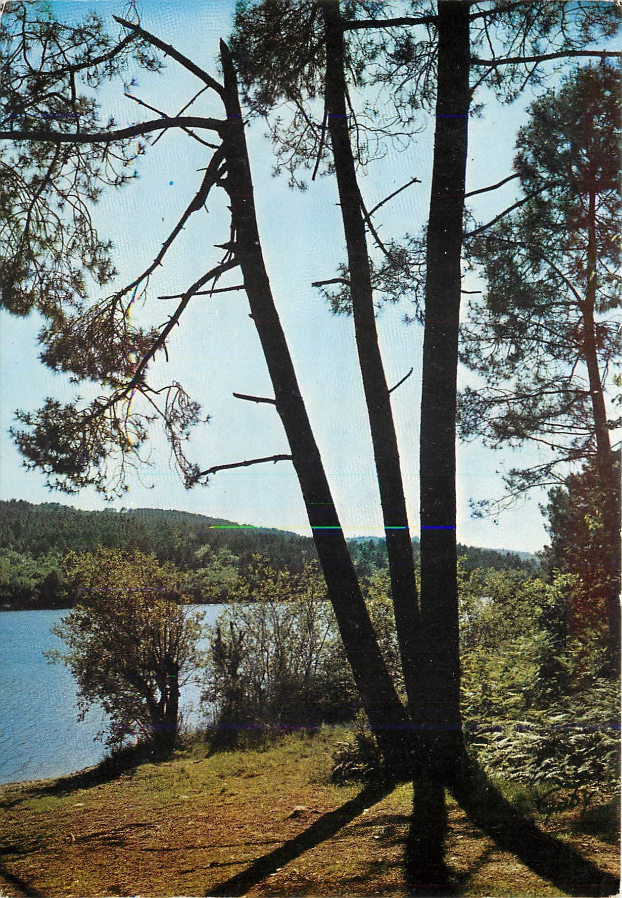 CPM Sites Bretons Mur de Bretagne C du N Le Lac de Guerledan 