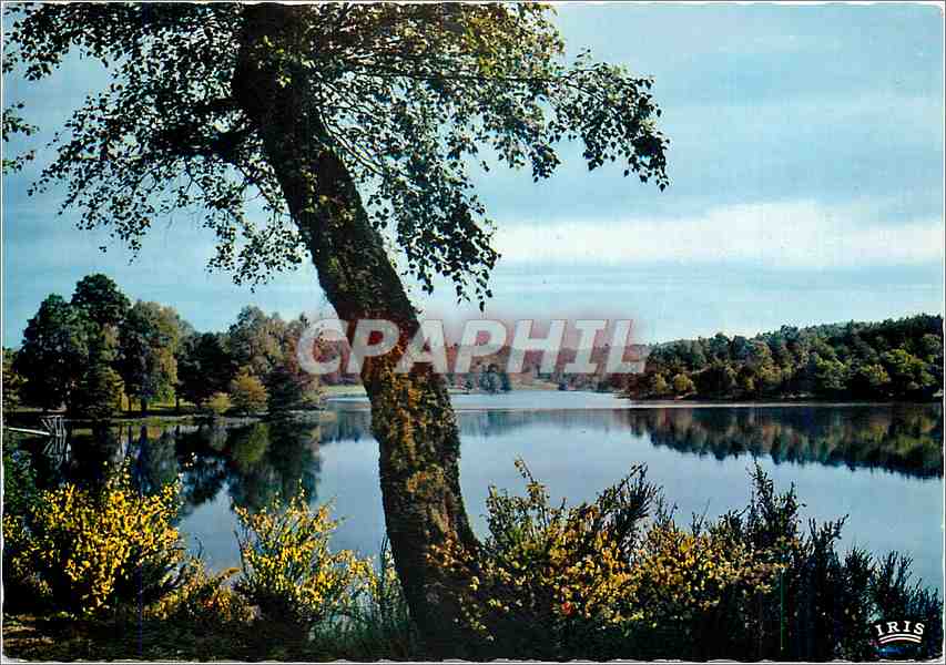 CPM Le Lac au miroir d'Argent Plein de Fraicheur et de Silence 