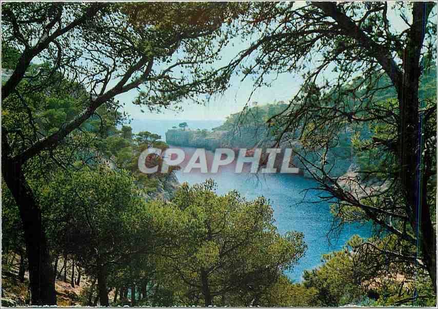 CPM Nos Belles Calanques Pres de Cassis Calanque de Port Pin 