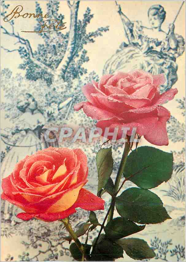 CPM Fleurs