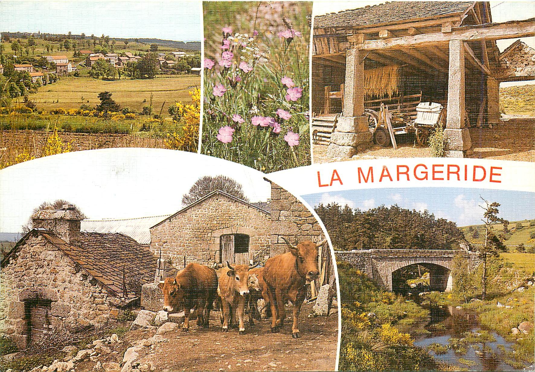 CPM Les Monts de la Margeride 