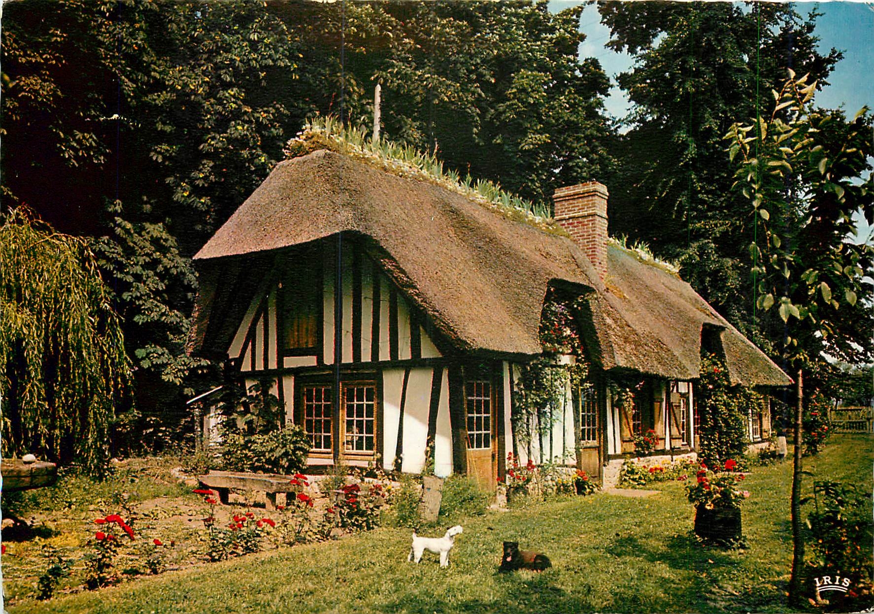 CPM Charmes et Couleurs de la Normandie 