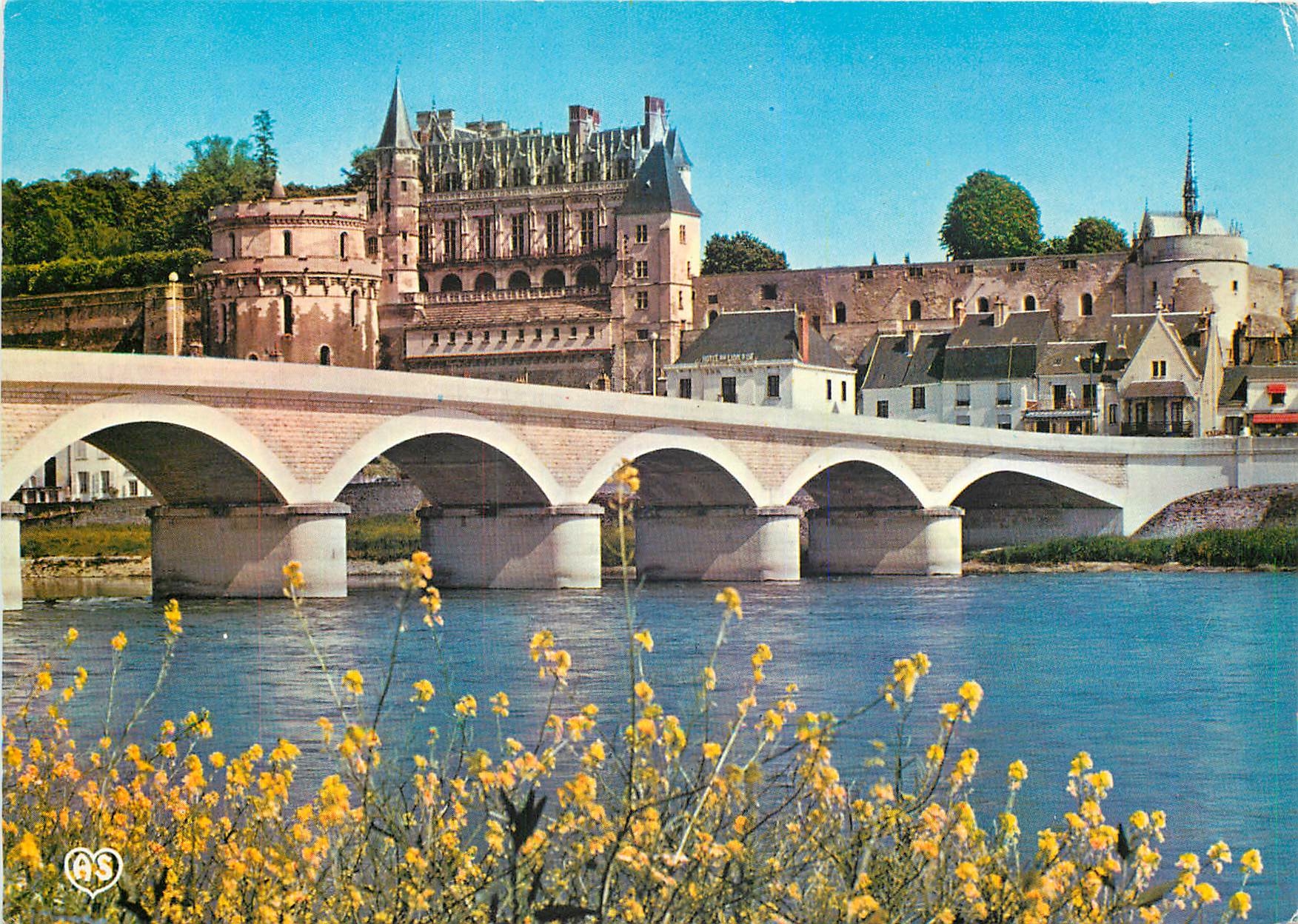 CPM Amboise L et L Le Chateau royal et le Pont sur la Loire 