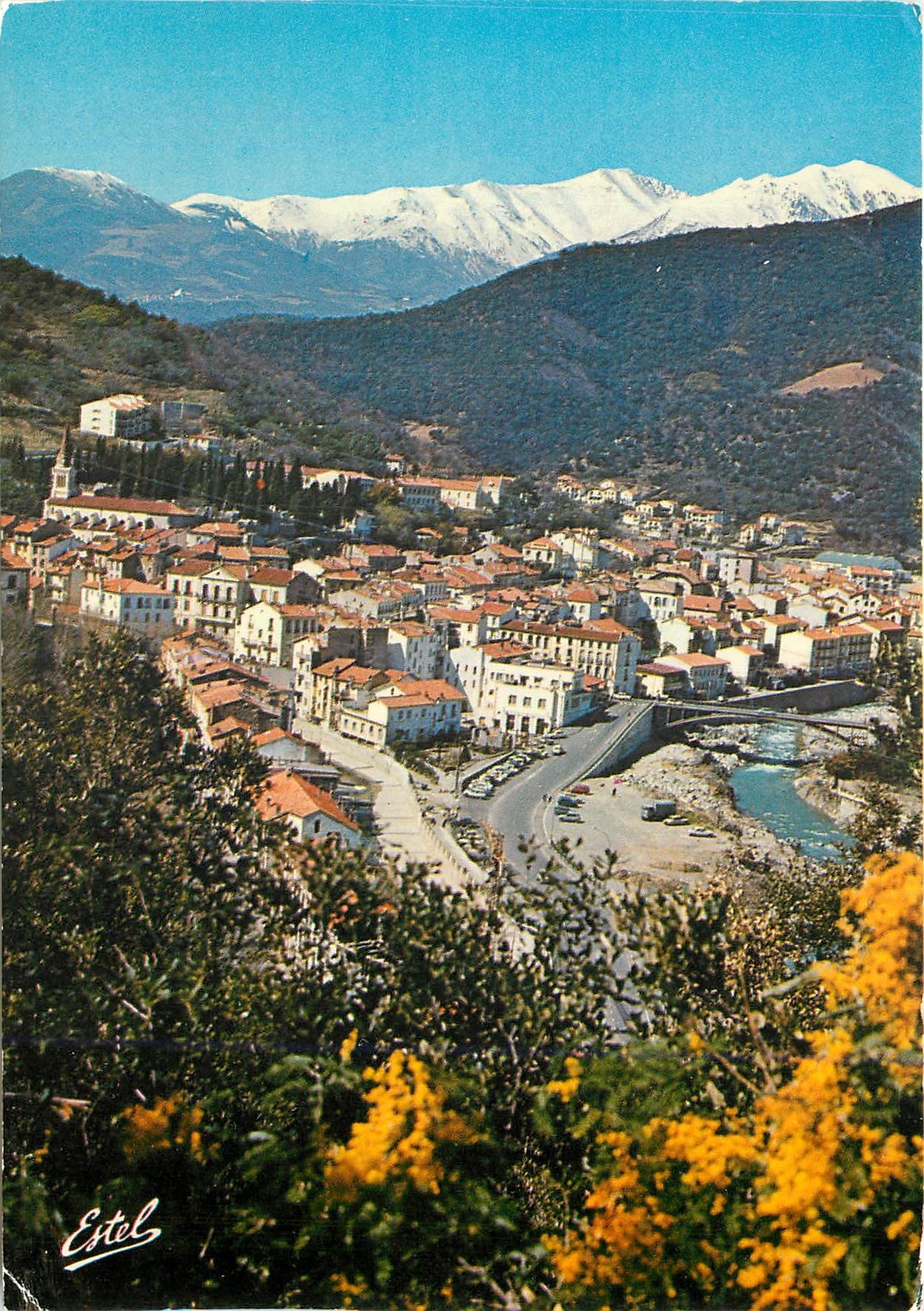 CPM Amelie les Bains Pyrenees Orientales La ville et le Tech au fond le Canigou 
