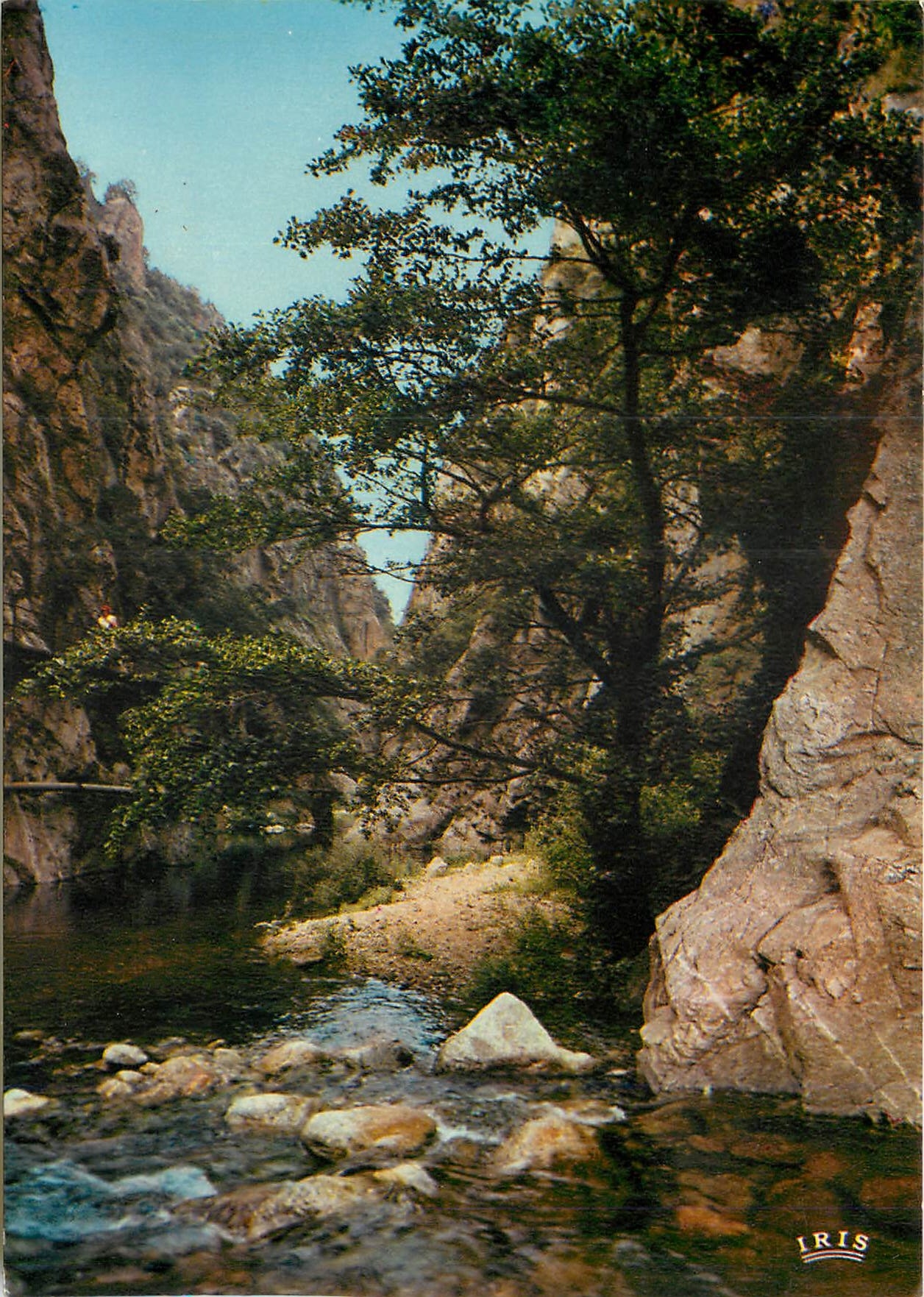CPM Amelie les Bains Pyrenees Orientales Les Gorges du Mondony 