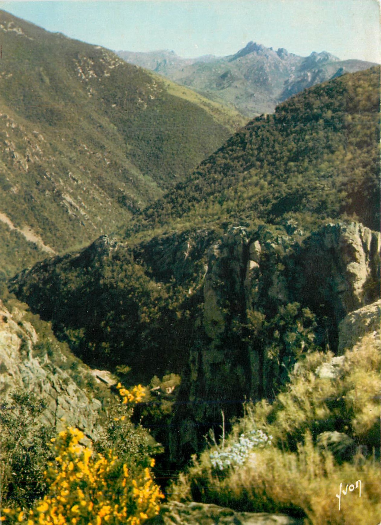 CPM Amelie les Bains Pyrenees Orientales La Route vers Montalba et la frontiere d'Espagne 