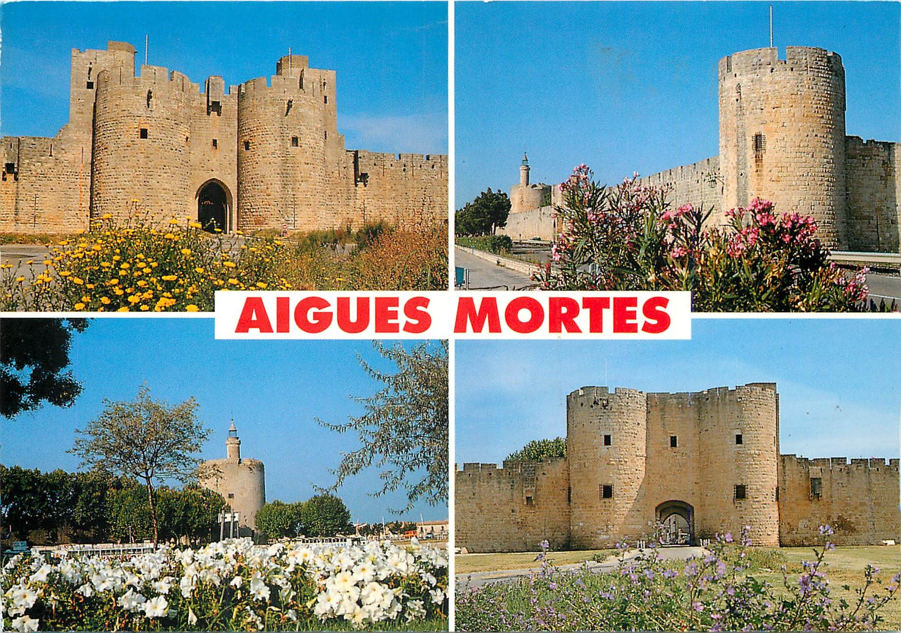 CPM Aigues Mortes Gard La Porte des Moulins La Tour des Bourguignons La Tour de Constance 