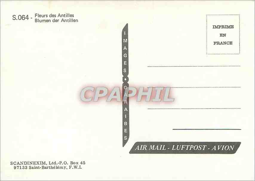 CPM Fleurs des Antilles Blumen des Antillen  — Verso