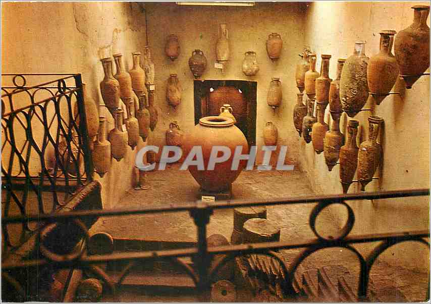CPM Agde Musee Agathois Salle des Amphores 