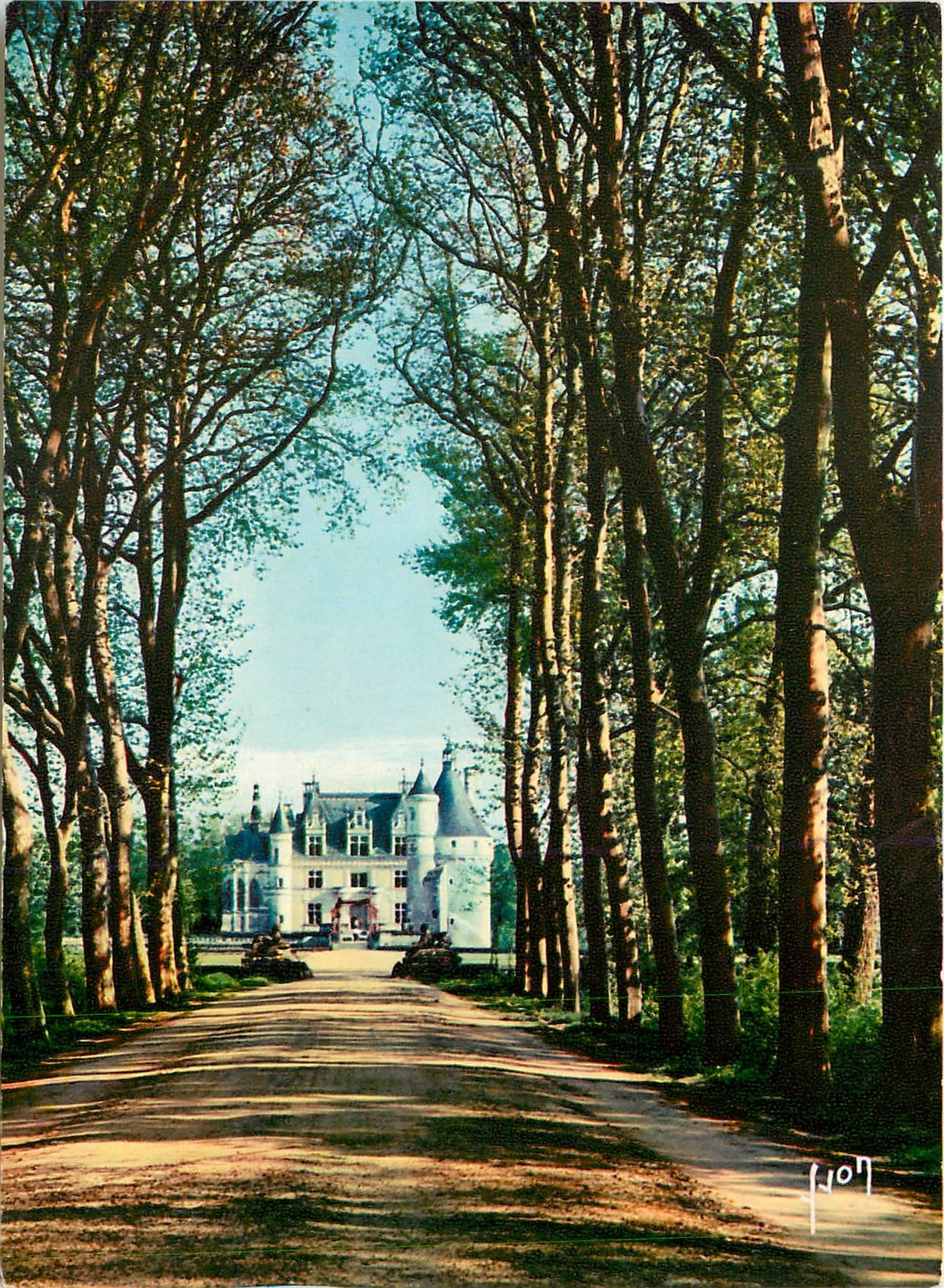 CPM Val de Loire Chenonceaux Magnifique allee conduisant au Chateau 