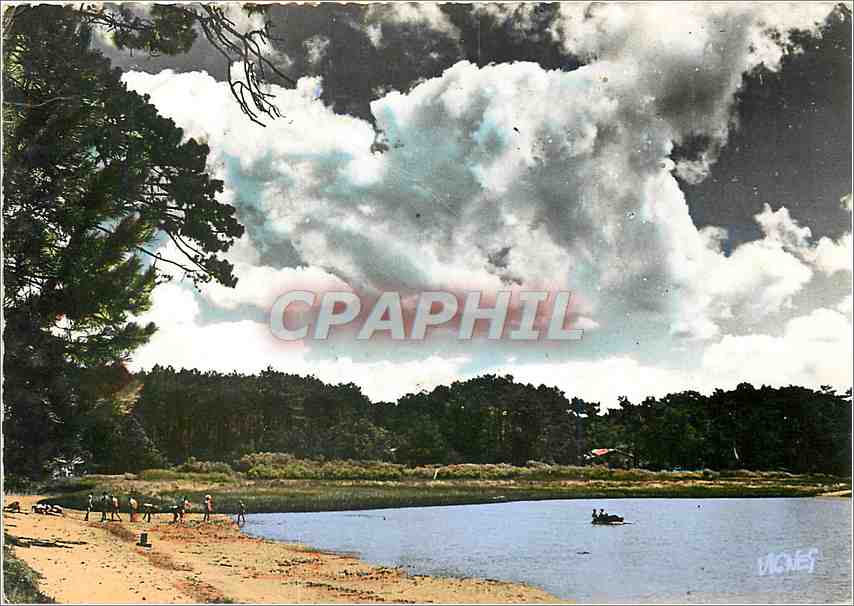 CPM Visage des Landes Sous le beau ciel des Landes 
