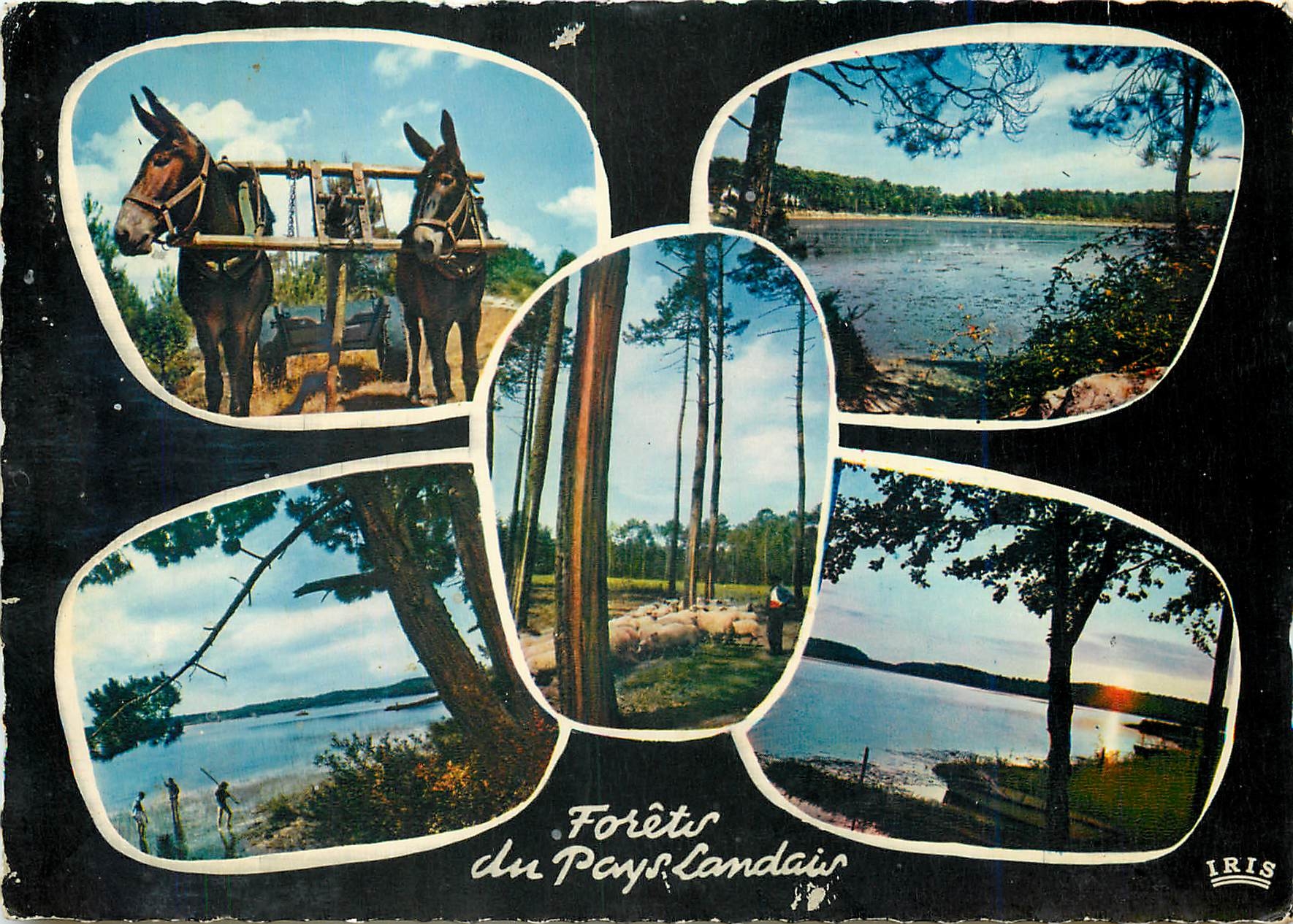 CPM Lacs et Forets du Pays Landais 