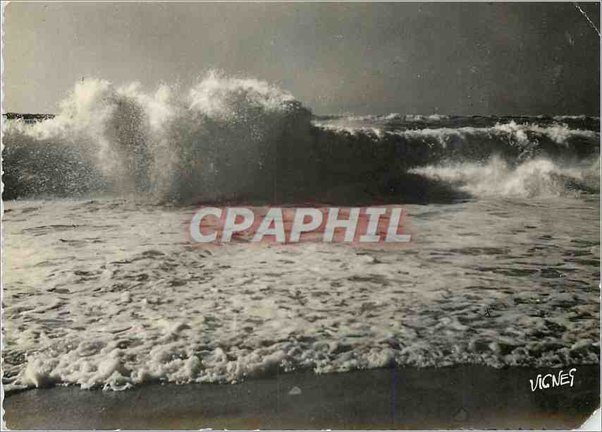 Vagues sur l'océan — Côte d'Argent Landaise — Photo VIGNES