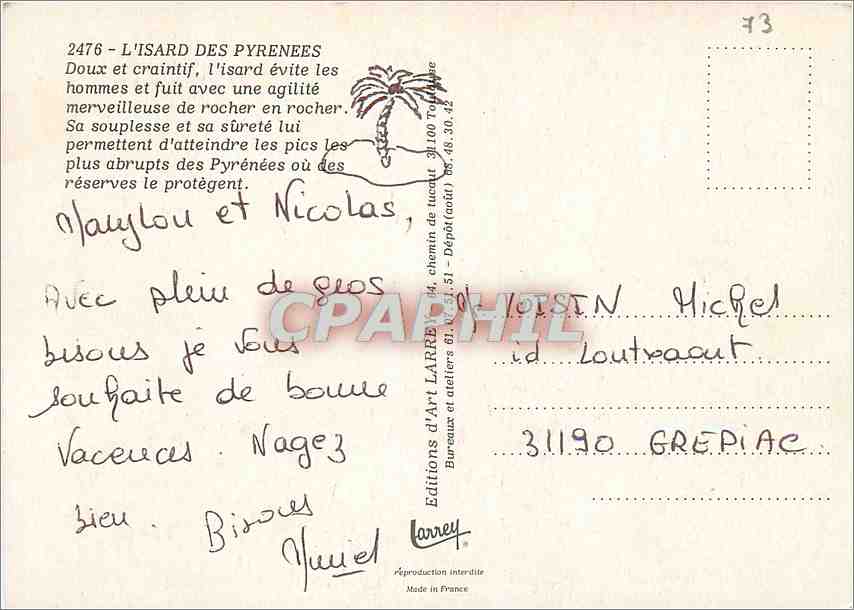 CPM L'Isard des Pyrenees Doux et craintif l'isard evite les hommes  — Back