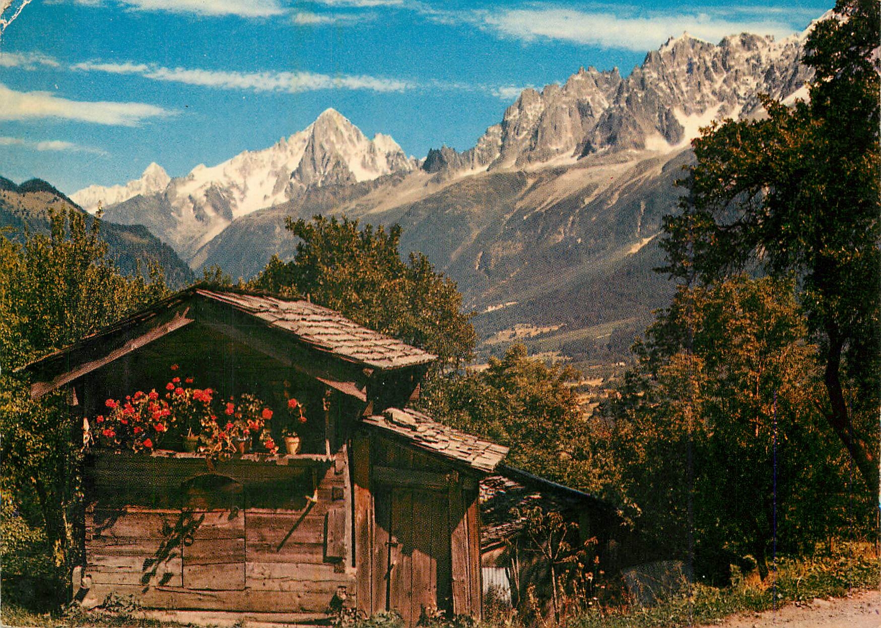 CPM Massif du Mont Blanc Le petit chalet aux geraniums et l'Aiguille du Dru 