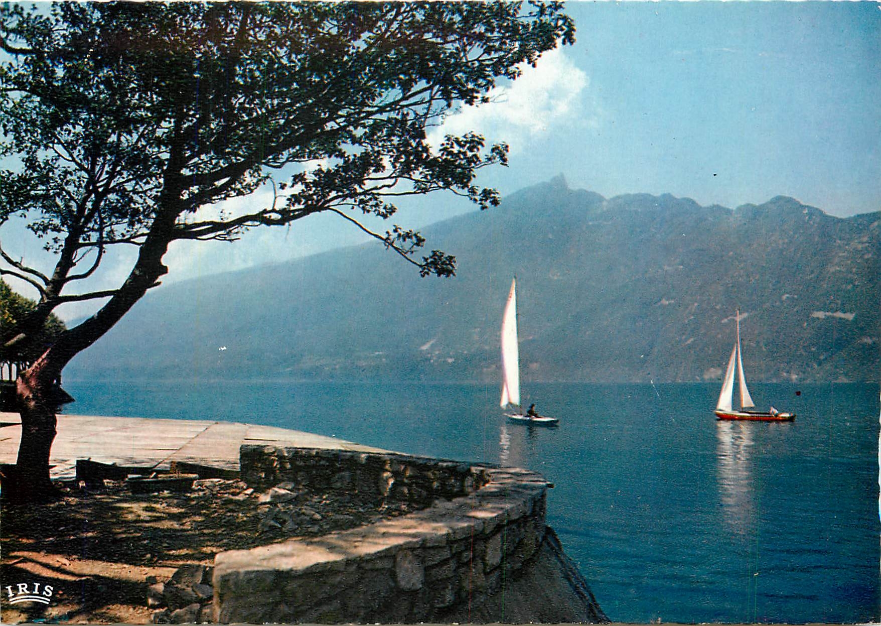 CPM Aix les Bains Lac du Bourget et Panorama sur la Dent du Chat 
