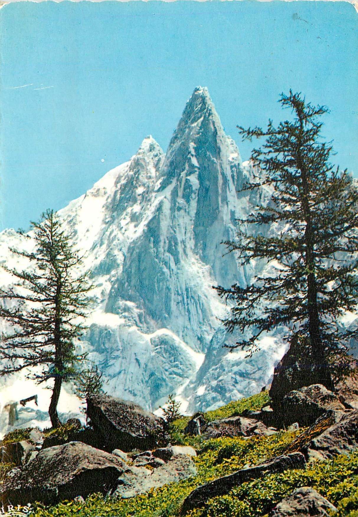 CPM Chamonix Mont Blanc Les Drus et l'Aiguille Verte depuis le Montenvers 