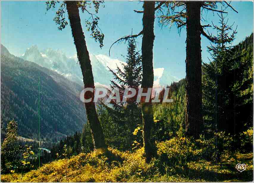 CPM Chamonix Mont Blanc Massif du Mont Blanc et de Trelechamp 