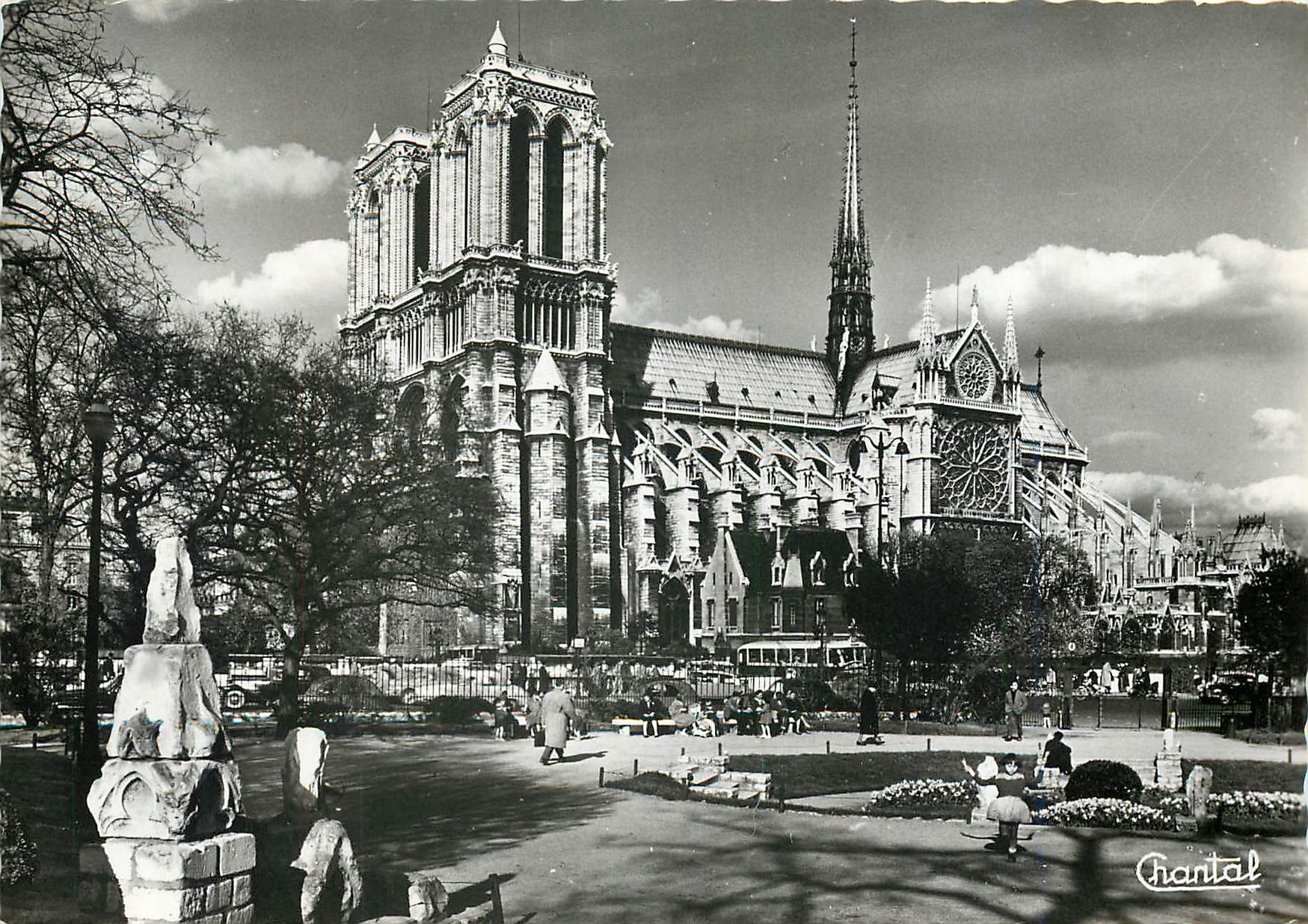 CPM Paris Notre Dame et Squaire Viviani 