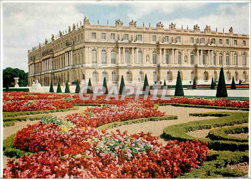 CPM Ile de France Le Chateau de Versailles 