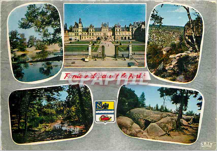 Fontainebleau y el bosque — editor IRIS