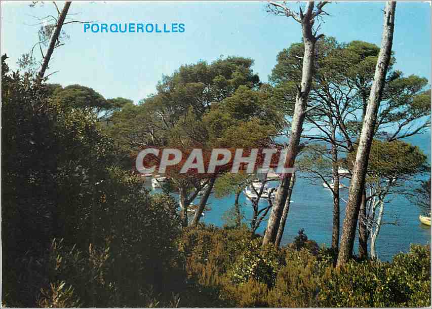 CPM L'une des trois iles d'or Porquerolles La crique de l'Alycastre avec ses bateaux 