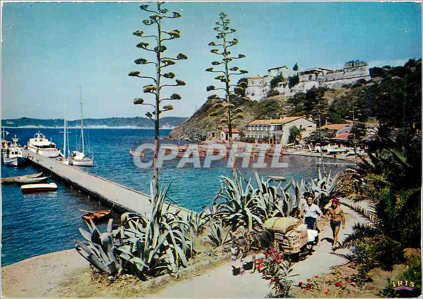 Port-Cros — Le Port — Éditeur IRIS, n°364