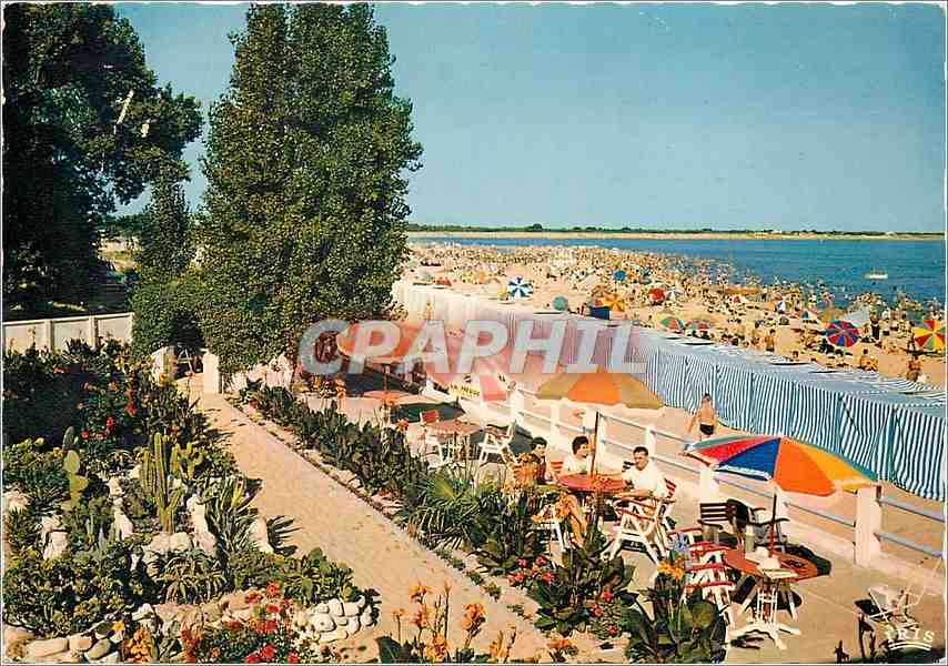 CPM La Tranche sur Mer Vendee La Plage vues des jardins de l'Hotel de l'Ocean 