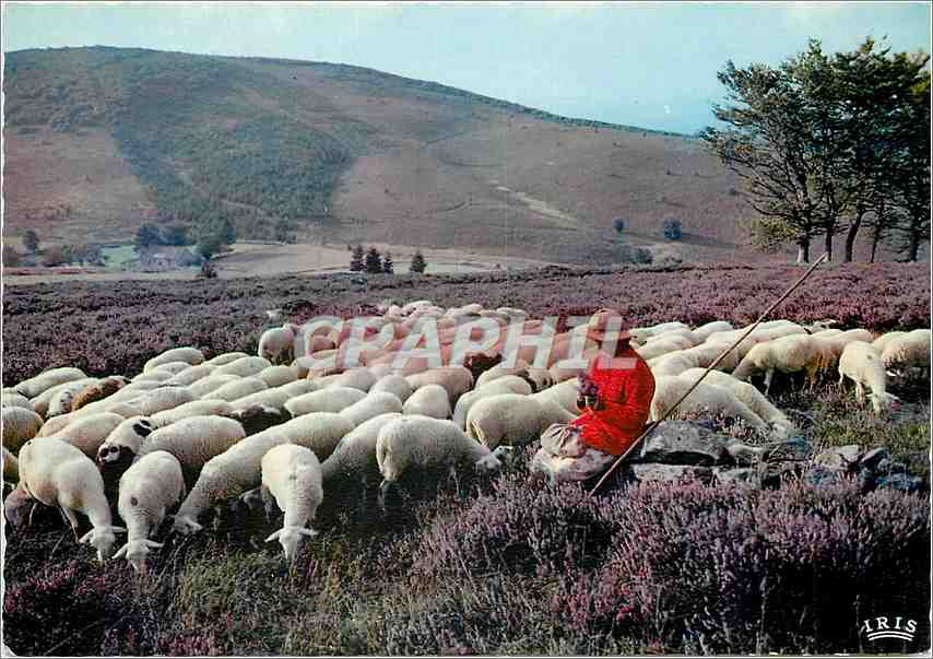 CPM Le Limousin Pittoresque Les Monedieres 