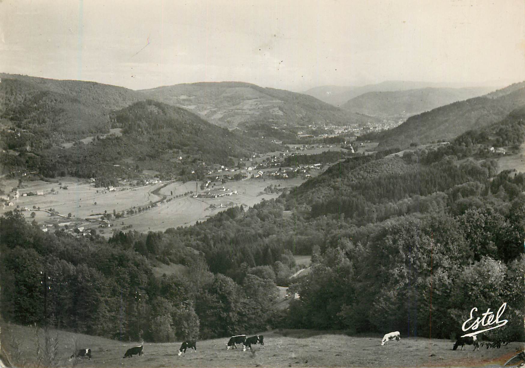 CPM Remiremont Panorama du refuge de la Beuille vers Rupt sur Moselle 