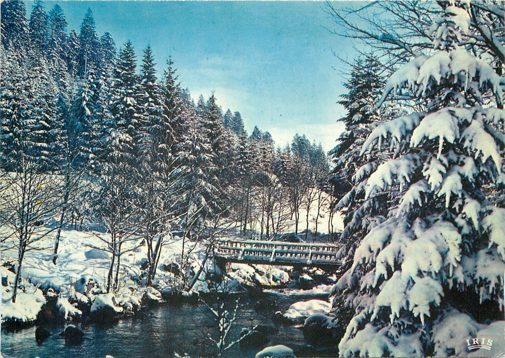 CPM Les Vosges sous la neige Le pont de bois 