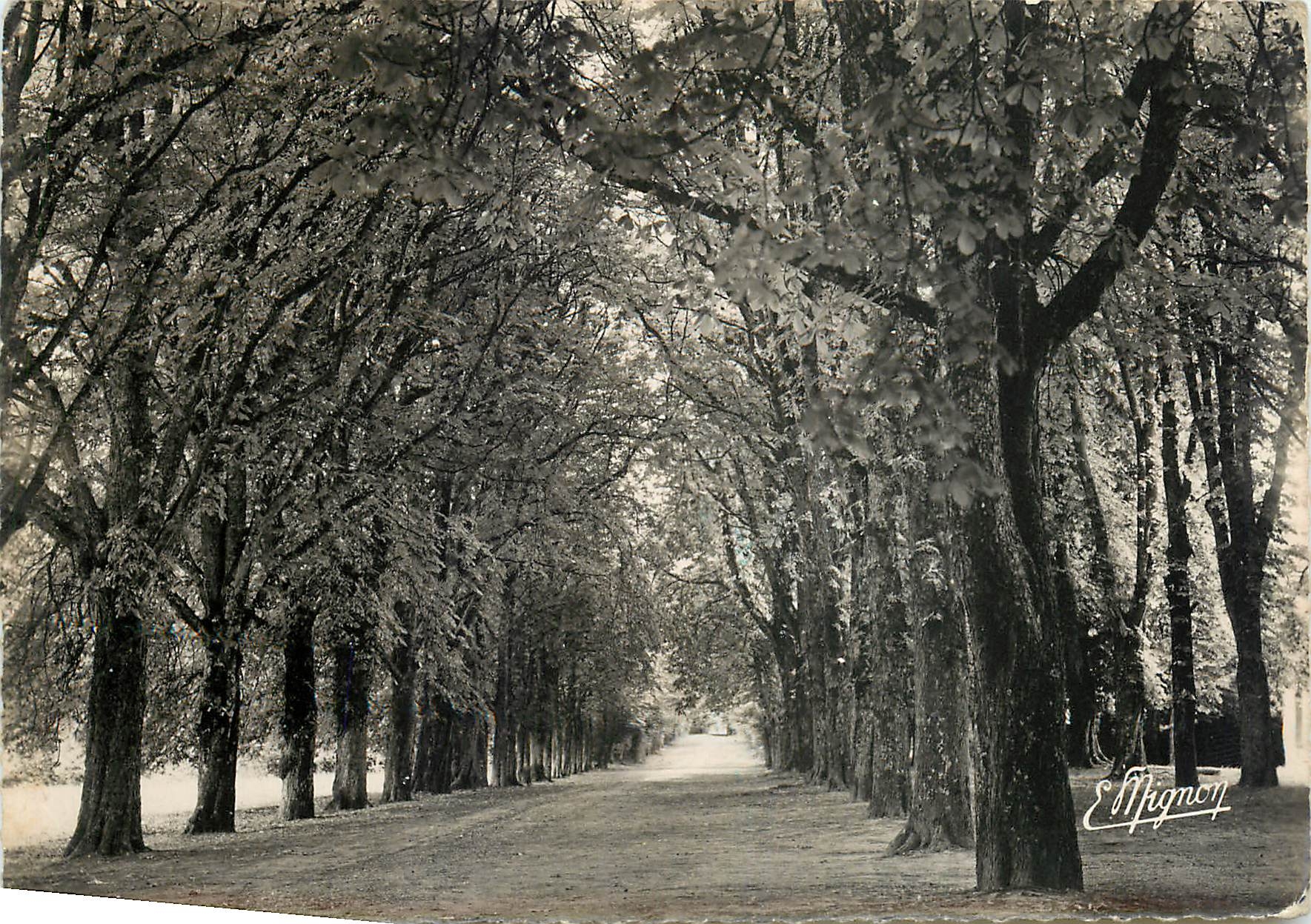 Allée des Marronniers — Château de Palteau, Armeau (Yonne) — Édition E. Mignon