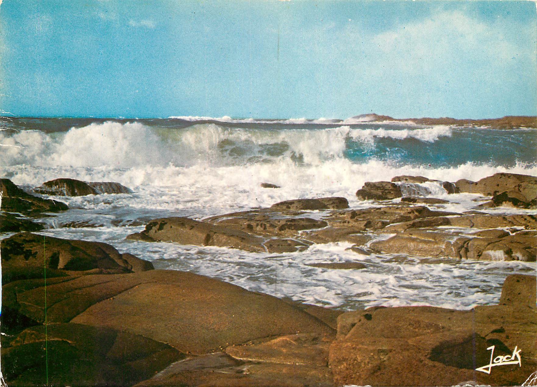 CPM Couleurs de Bretagne Tempete deferiant sur la cote 