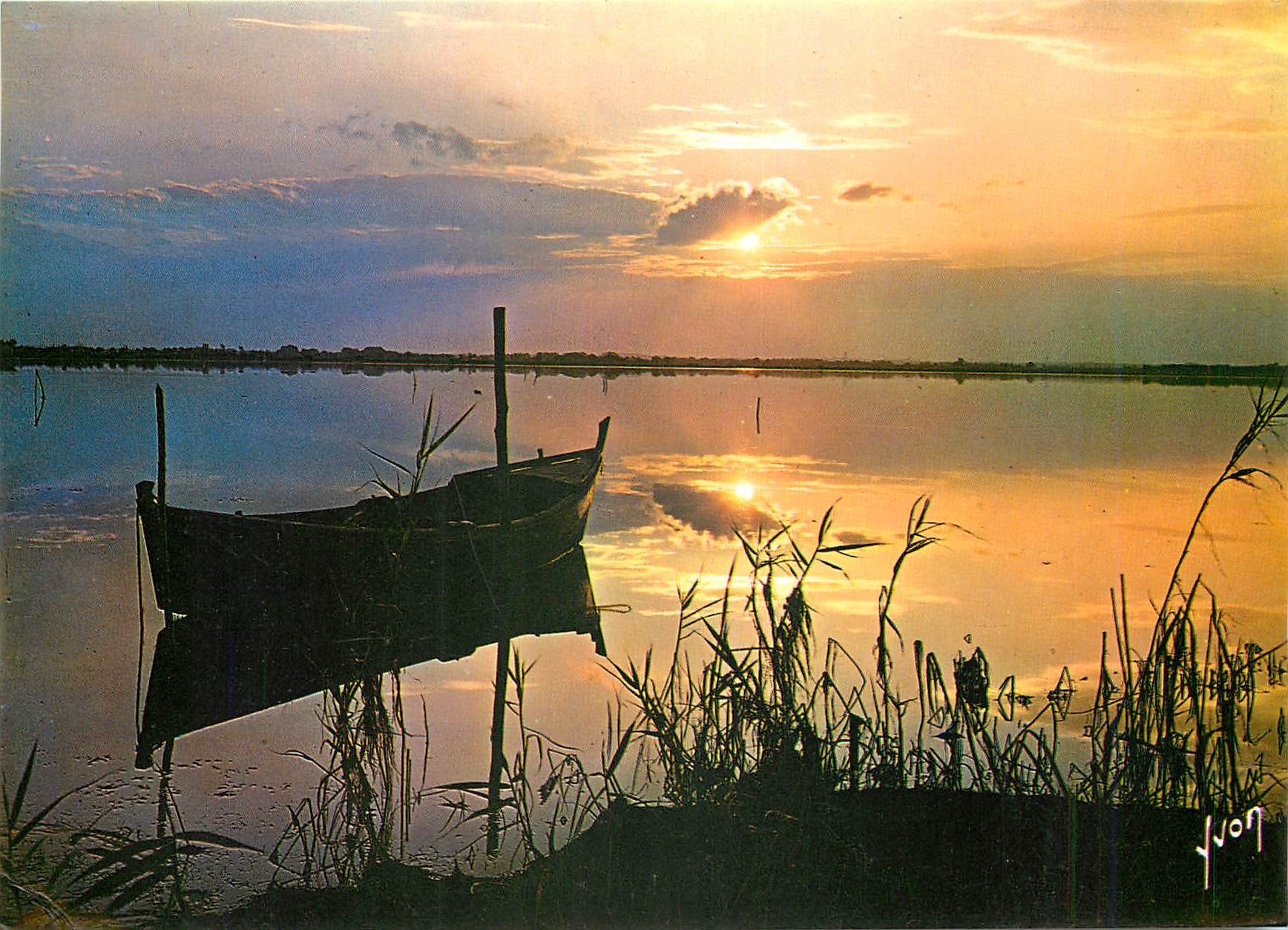 CPM Coucher et Lumiere de France Coucher de Soleil 