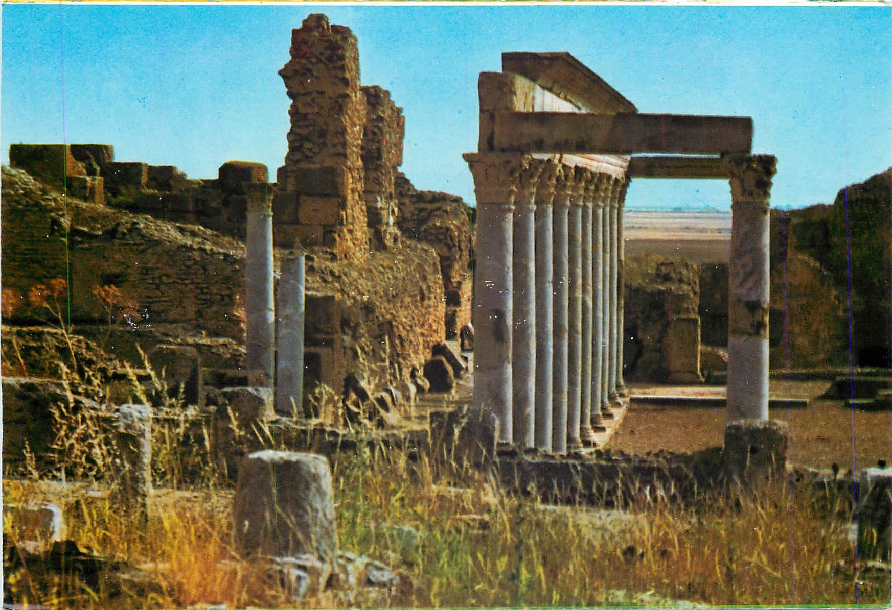 CPM Tuburbo Majus Le portique des Petronii 