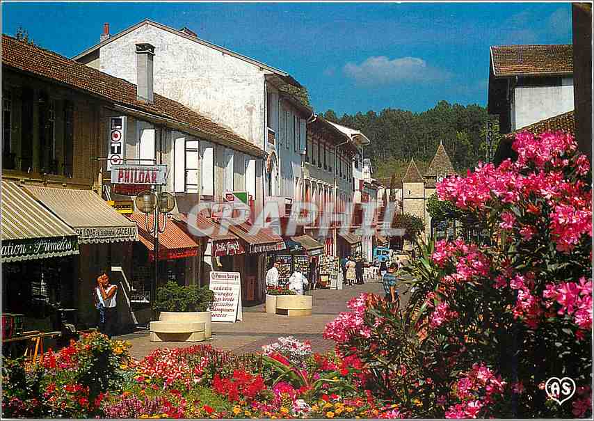 Barbotan-les-Thermes — rue piétonne fleurie — PhiloDar