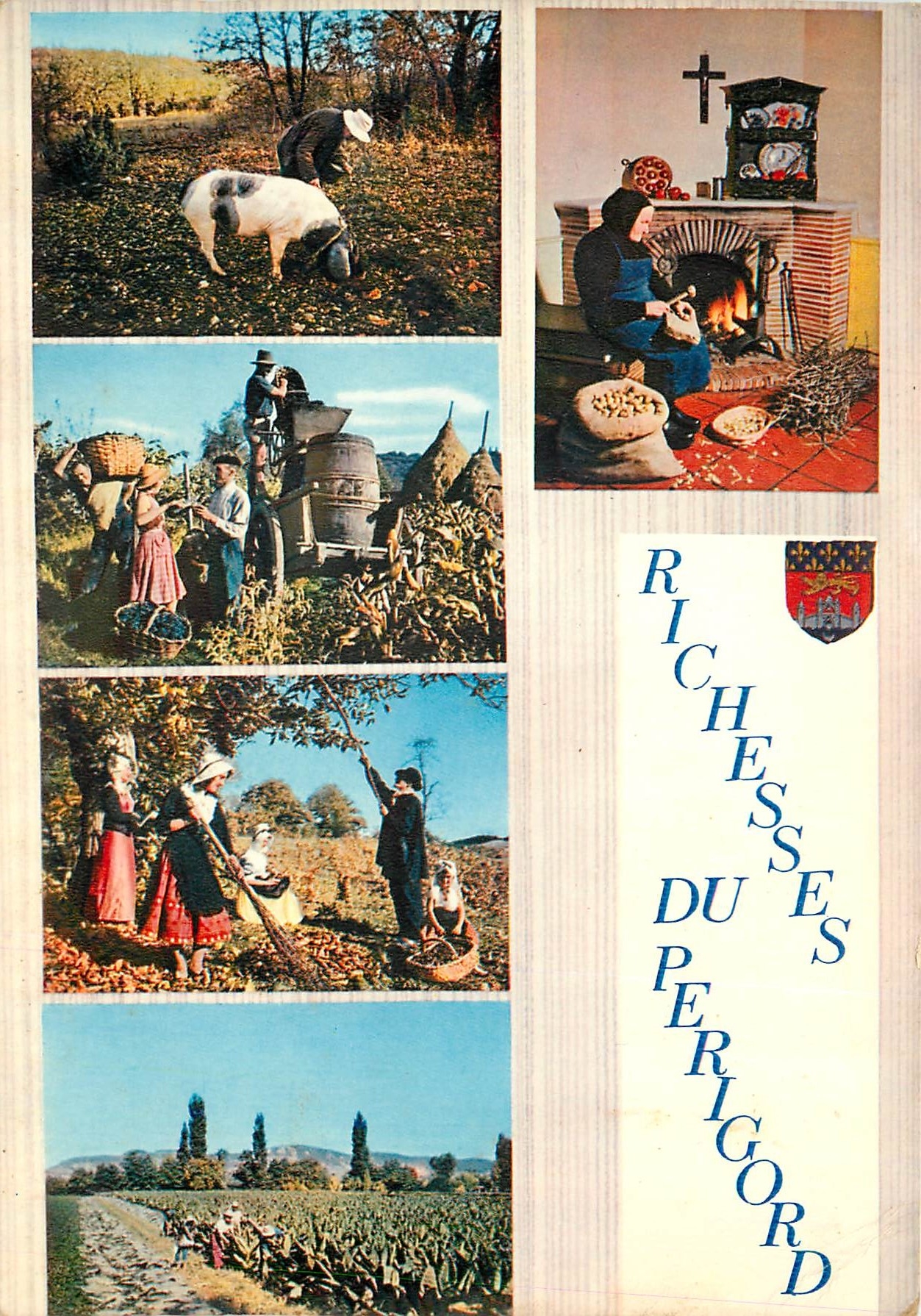 CPM Quelques Richesses du Perigord 