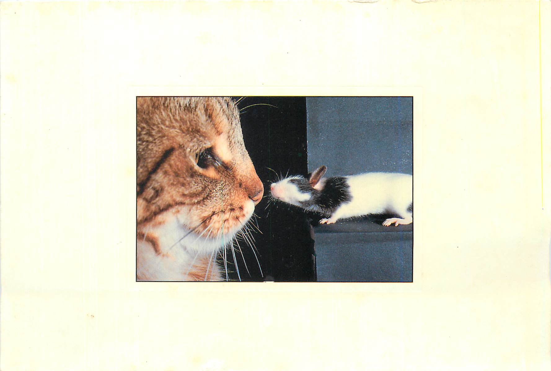 CPM Chat Souris