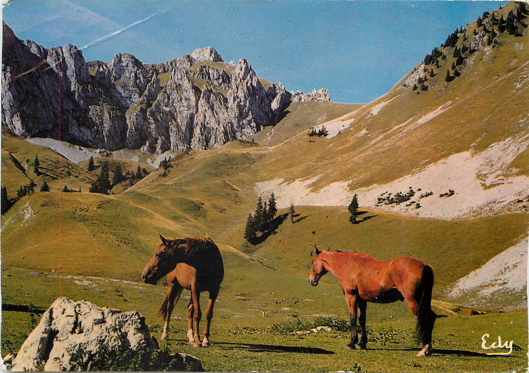 CPM Image de chez nous Chevaux aux paturages 